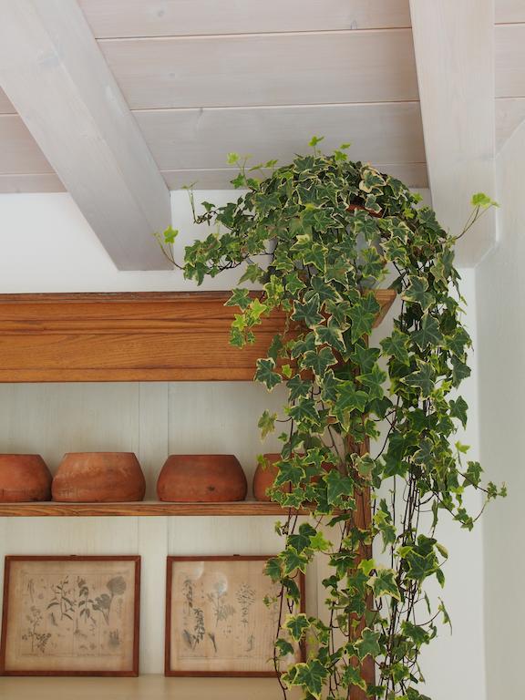 Casa Del Pittore Ροβερέτο Εξωτερικό φωτογραφία